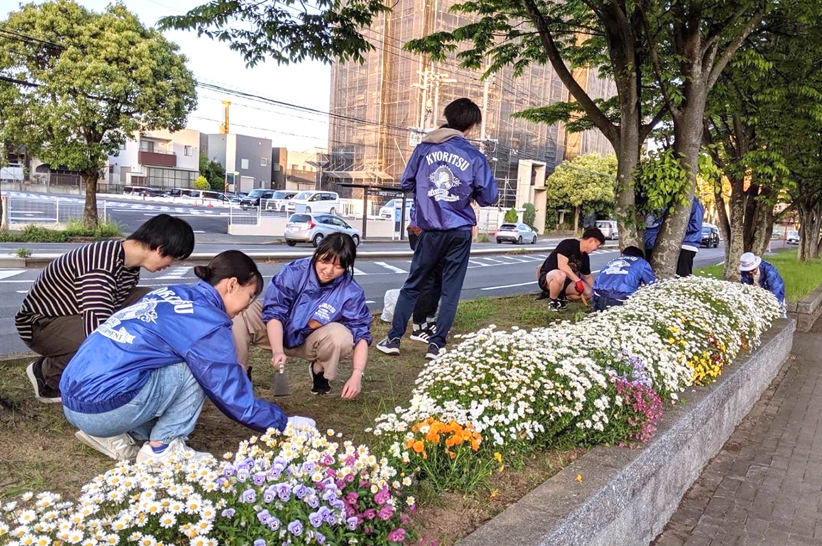 写真：ちょボラ部