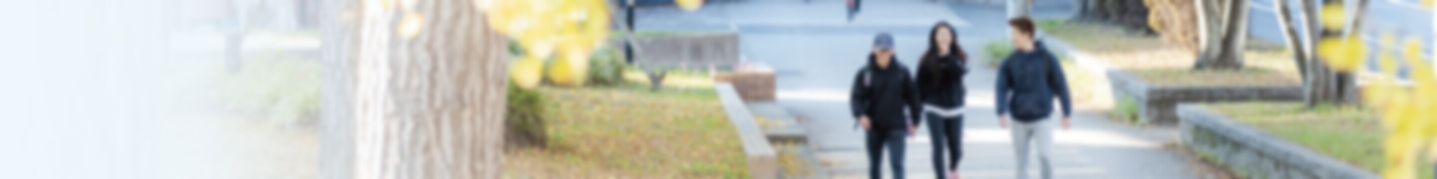 写真:就職⽀援のイメージ
