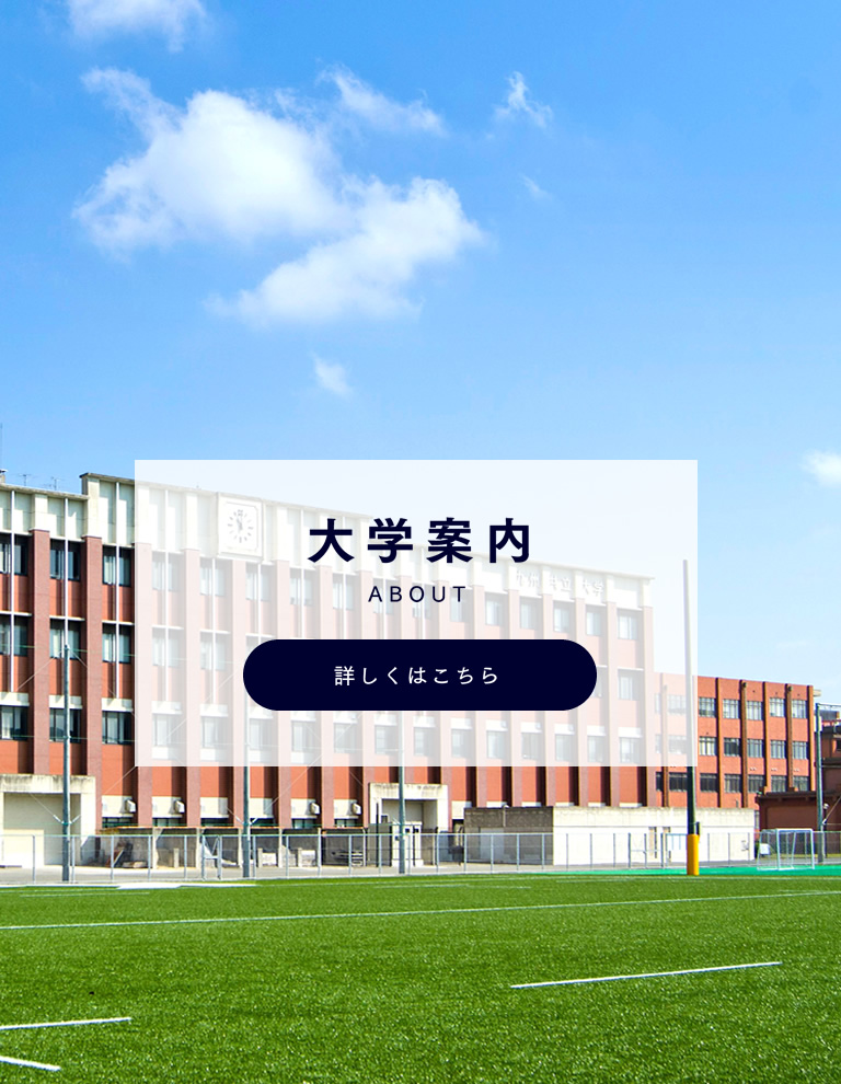 大学案内